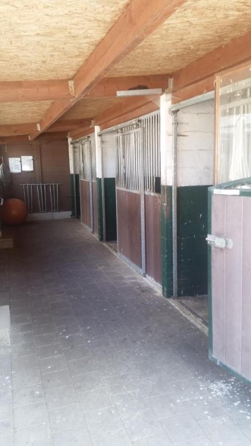 King of Gold Stables appartement met stalling voor 5 paarden Zutendaal Buitenkant foto