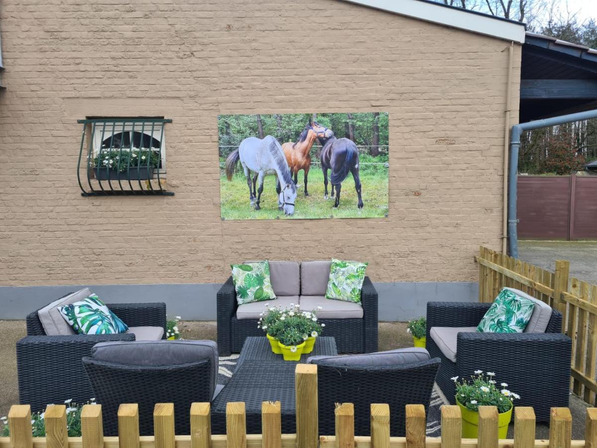 King of Gold Stables appartement met stalling voor 5 paarden Zutendaal Buitenkant foto