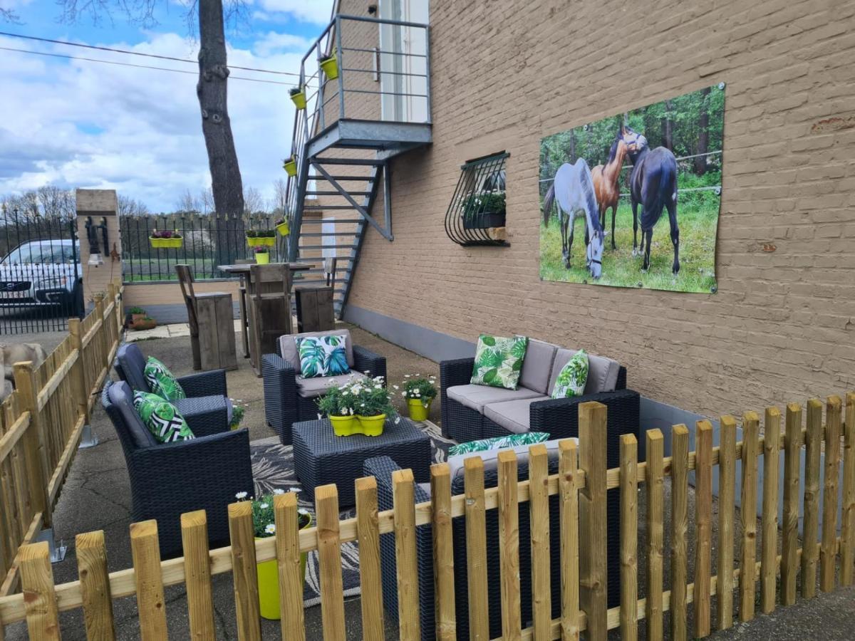 King of Gold Stables appartement met stalling voor 5 paarden Zutendaal Buitenkant foto